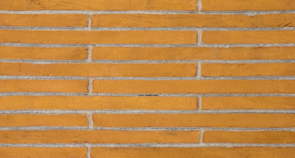 MUSTARD-2