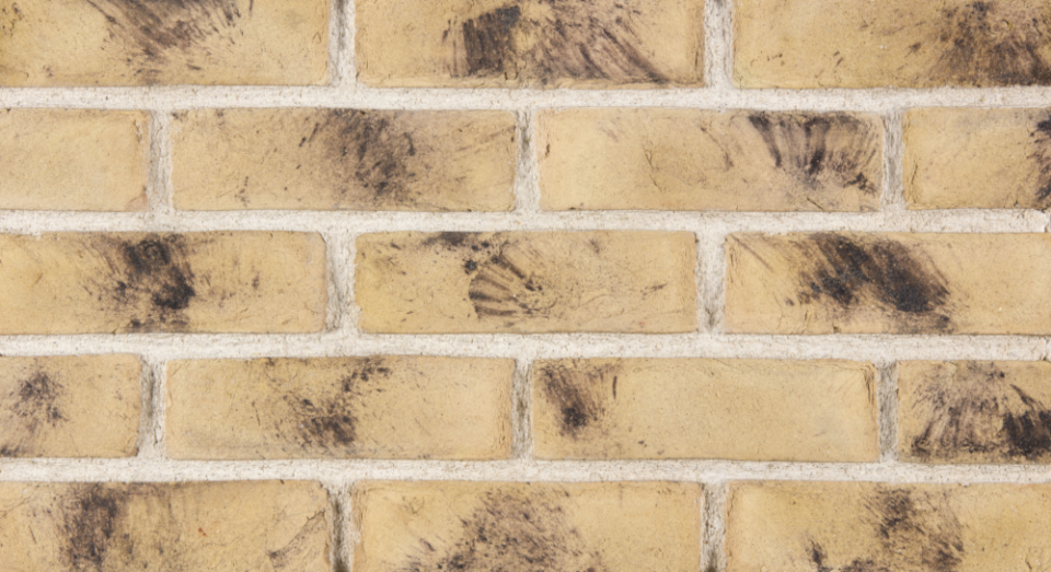 WEATHERED-BUFF