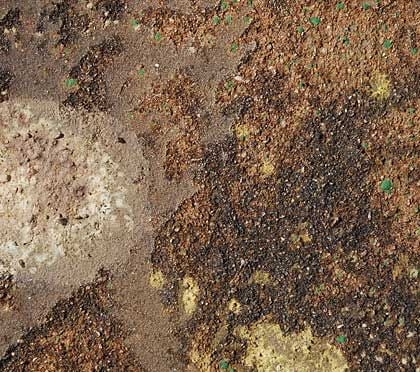 New Texture - Woodland