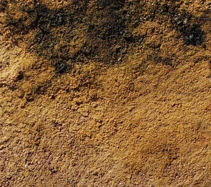 Texture - Linchen